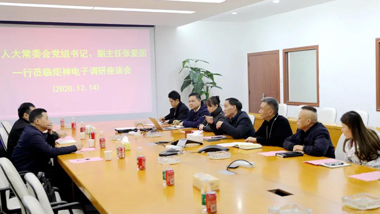 郴州市人大常委會黨組書記、副主任張愛國到炬神電子調研安全生產工作